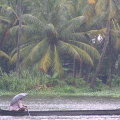 IMD predicts heavy rainfall in Kerala