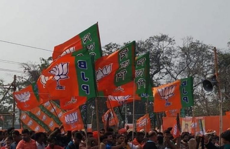 BJP Flags
