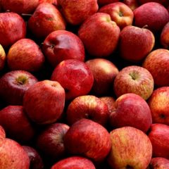 Adani Agri Fresh procures 2,500 tonnes of apples from farmers