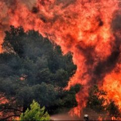 US state of Colorado declares state of emergency due to fast-moving grass fires