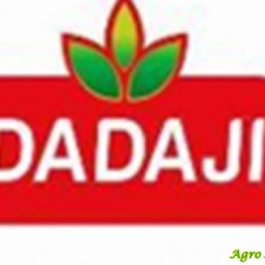 Dada Organics - A new venture that lays emphasis on curating Ayurvedic products, empowering women and farmers