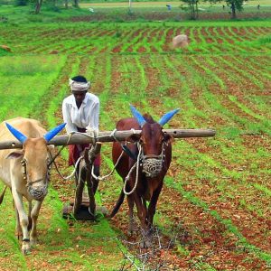 Escorts, IndusInd Bank come together to serve farming community