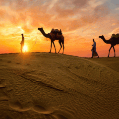 Rajasthan Set To Launch Mobile Application For Tourists