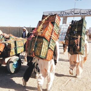Pakistan: Protest held against closure of trade corridor at Taftan border