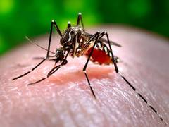 Dengue cases rising in Pakistan