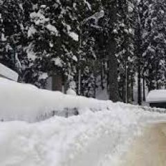 J-K's Pahalgam receives season's first snowfall