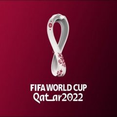 Qatar 2022 will logistically be the best FIFA WC, believes Mikael Silvestre