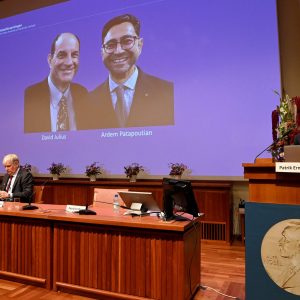 David Julius, Ardem Patapoutian win 2021 Nobel Prize for Medicine