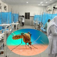 Hospitals in Pakistan run short of beds as dengue cases surge countrywide