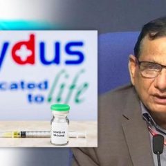 Zydus Cadila vaccine to be inoculated through applicator, not syringe, says NITI Aayog's Dr VK Paul