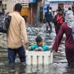 Tamil Nadu rains: 5 dead, several houses damaged