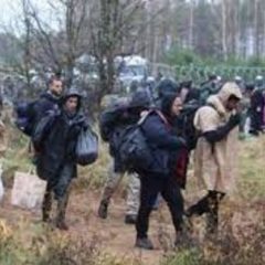 Vatican calling on Europe to take responsibility for refugees on Polish-Belarusian border