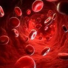 Lack of important molecule in red blood cells causes vascular damage in type 2 diabetes