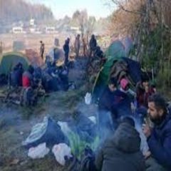 New migrants arrive daily at makeshift refugee camp at Belarusian-Polish border
