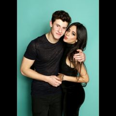 Shawn Mendes, Camila Cabello End Their 'Romantic Relationship'