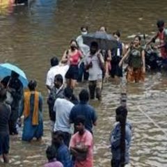 Bengaluru, Chennai Neighbourhoods Flooded After Rain