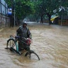 IMD issues yellow alert for Tamil Nadu, heavy rains predicted over next few days
