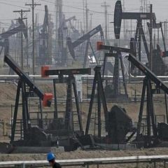 India To Release 5 Million Barrels Crude With US, Japan To reduce Prices