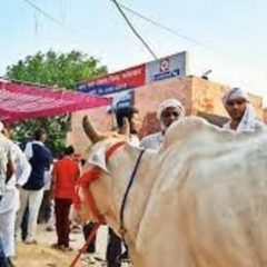 Haryana: Farmers protest outside Narnaund police station