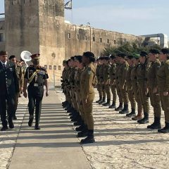 Army chief Naravane receives Israel's guard of honour on first day of his visit
