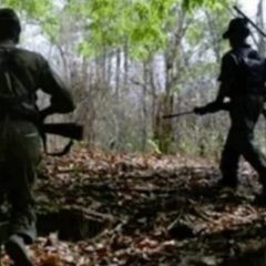 Six Naxals killed by security forces in encounter on Telangana-Chhattisgarh border