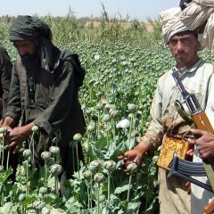 Taliban officials meet German, Dutch diplomats, promise to prevent cultivation, smuggling of opium