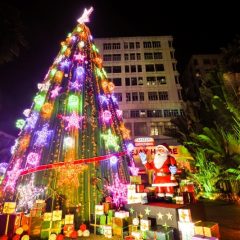 Kolkata's Park Street lit up to welcome Christmas, 50-feet tall Christmas tree installed in City