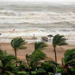 Cyclone Asani to intensify into Cyclonic storm in next 24 hours in Bay of Bengal 