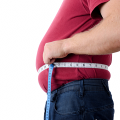Study Finds Brain Reveals The Risk For Developing Obesity
