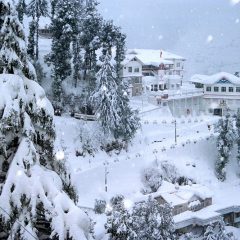 Snowfall in Himachal: Tourist places receive fresh spell of snowfall, temperature expected to drop