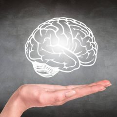 Researchers Suggest Forgetting Represents A Form Of Learning