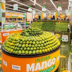 Indian mangoes, pomegranates get market access in USA