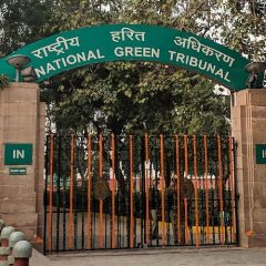 Tamil Nadu needs to update its policy to control air pollution in Chennai, says NGT