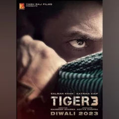 'Tiger 3': Salman Khan, Katrina Kaif's Film To Arrive On Diwali 2023
