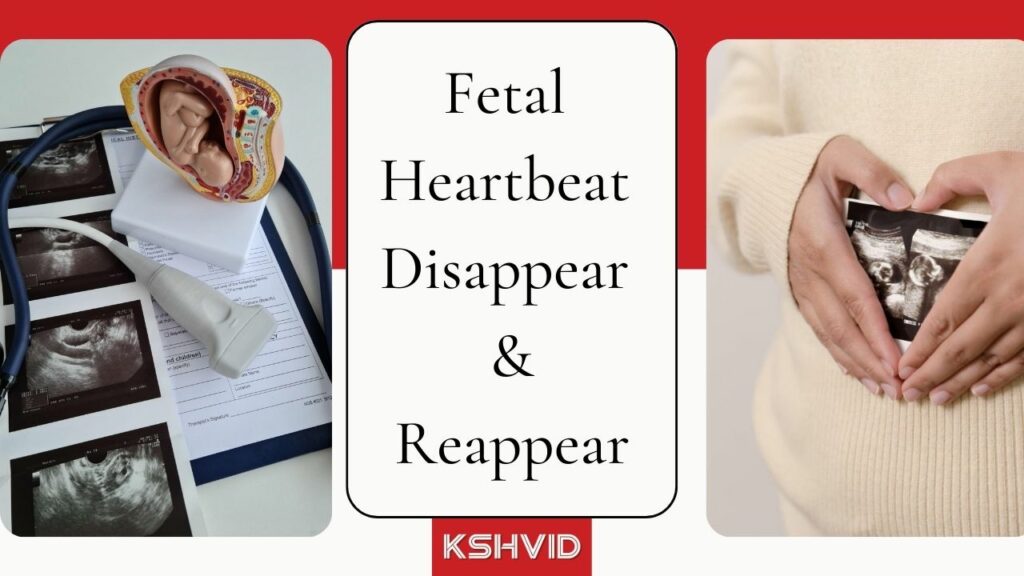 Can Fetal Heartbeat Disappear and Reappear?