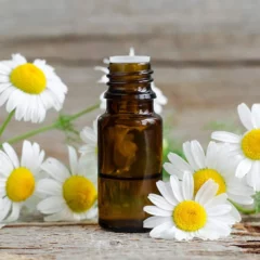 Benefits Of Chamomile Oil For Skin