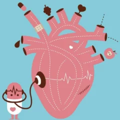 According To Research Bariatric Surgery Lowers Risk Of Heart Disease