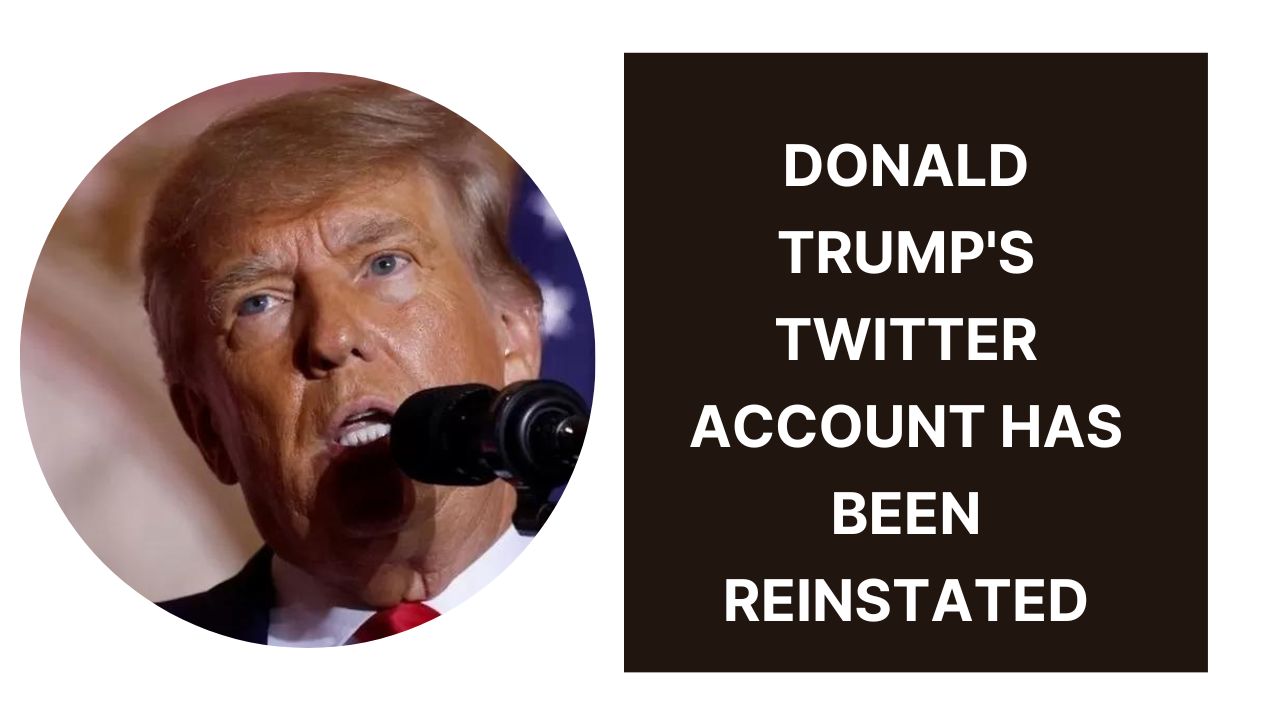 Donald Trump's Twitter account has been reinstated