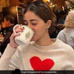 Ananya Panday Shares Some Glimpses Of Her 48 Hours Trip To New York City