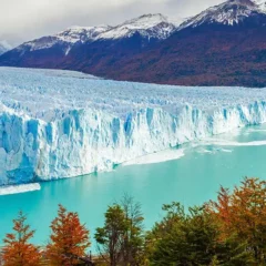 Climate Change : Do you know that 4 out of 5 glaciers may be lost by 2100? Read to know more