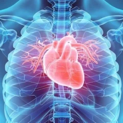 Study: How To Use Gene Testing To Prevent Sudden Cardiac Death In Athletes
