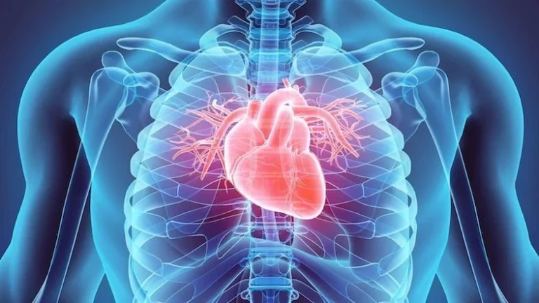 Study: How To Use Gene Testing To Prevent Sudden Cardiac Death In Athletes
