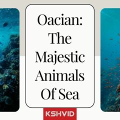 Exploring Oacian: The Mysterious Ocean Creature