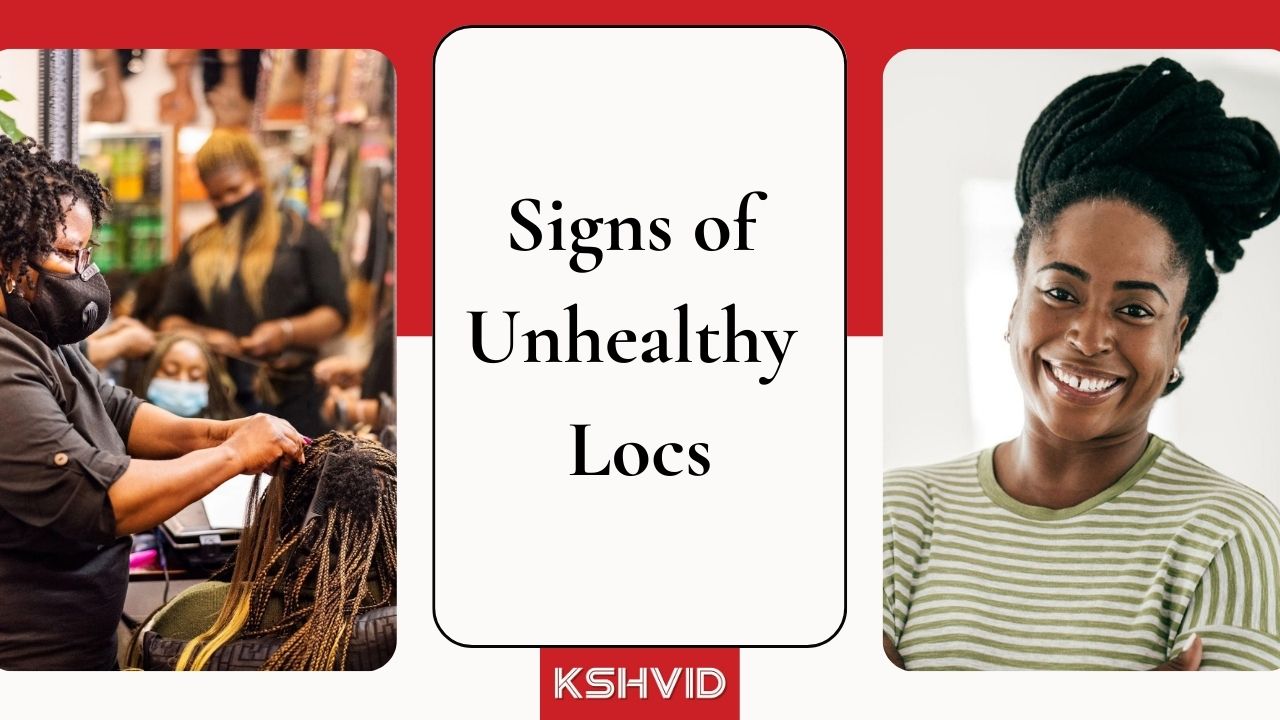 Signs of Unhealthy Locs: Your Guide to Achieve Healthy Hair 2023 - kshvid