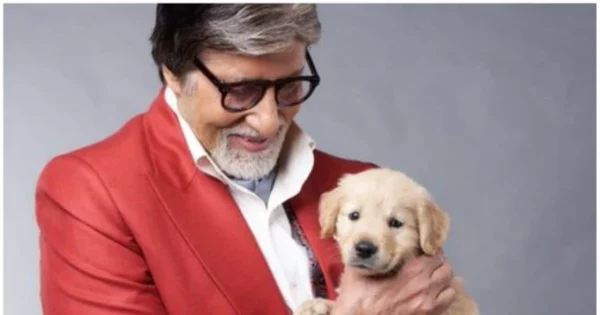 amitabh bachchan mourns death of his pet dog