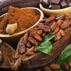 Study: Cocoa Flavanol Supplement Shows Promise For Reducing Cardiovascular Risk