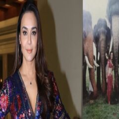 Preity Zinta Drops Throwback Picture With Elephants For 'Dil Se' In Kerala