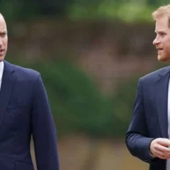 New Book Reveals The Shocking Reason Why Prince Harry Snubbed Prince William's Peace Effort