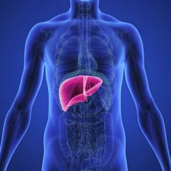 Sings And Symptoms Of Poor Liver Health