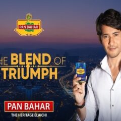 'Bollywood Cannot Afford You But They Can': Netizens Troll Mahesh Babu For Endorsing Pan Masala Brand